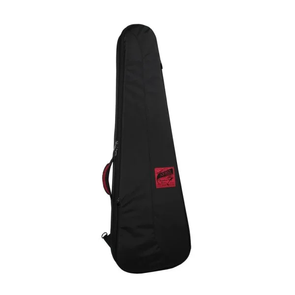 Gig bag 2025 guitar case