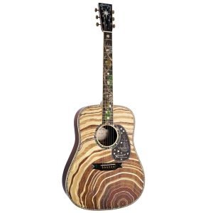 Acoustic Guitar with Spruce Top, Brazilian Rosewood Back and Sides, Mahogany Neck, and Ebony Fingerboard
